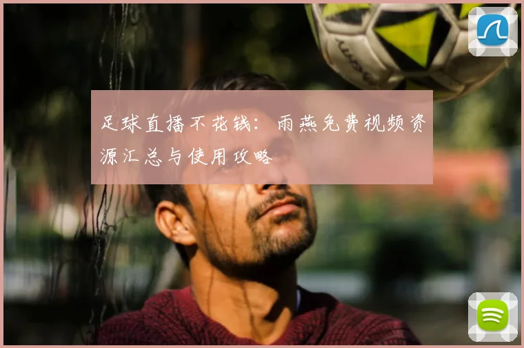 足球直播不花钱：雨燕免费视频资源汇总与使用攻略
